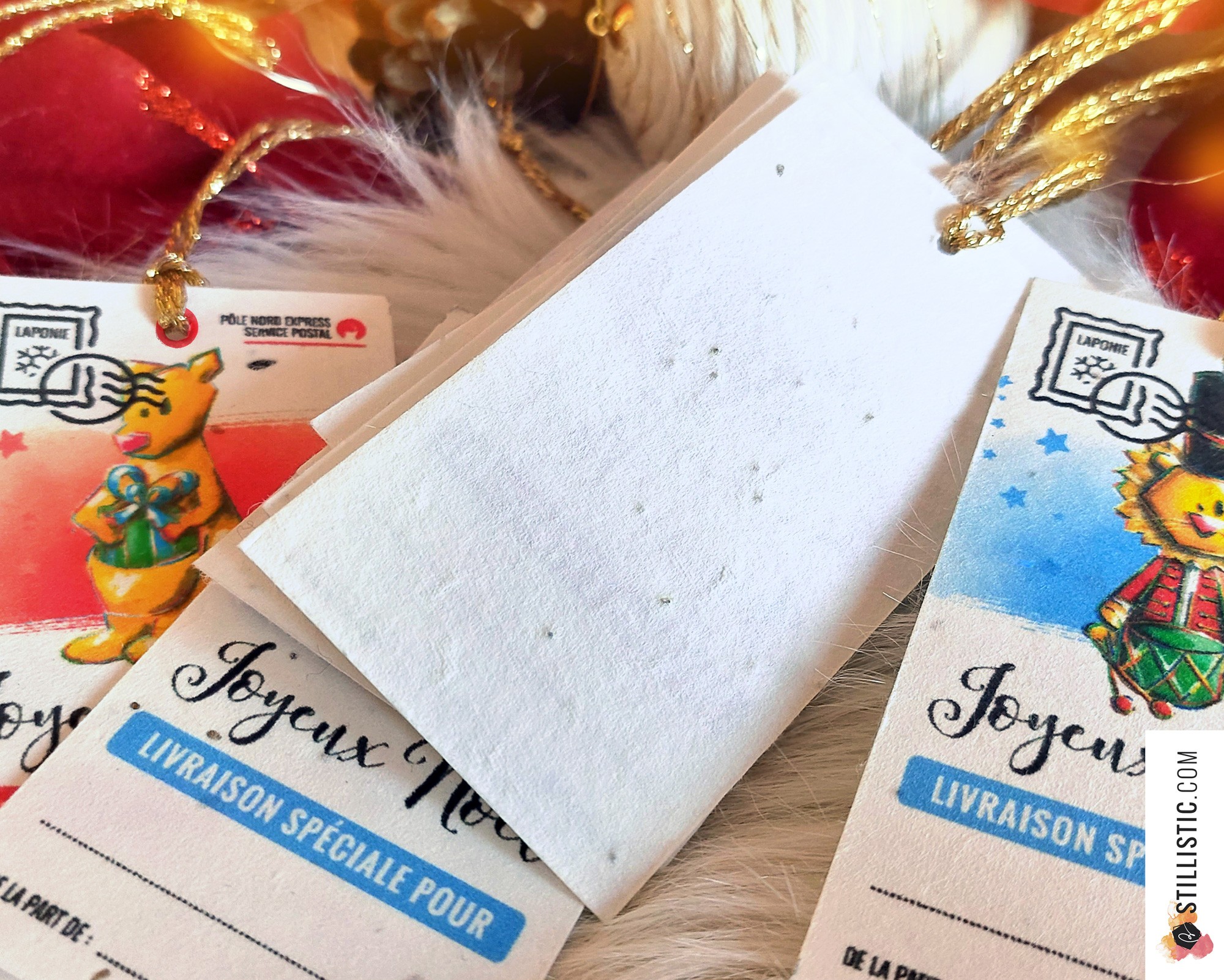 Les étiquettes autocollantes du Père Noël - chien et chat - 10ex
